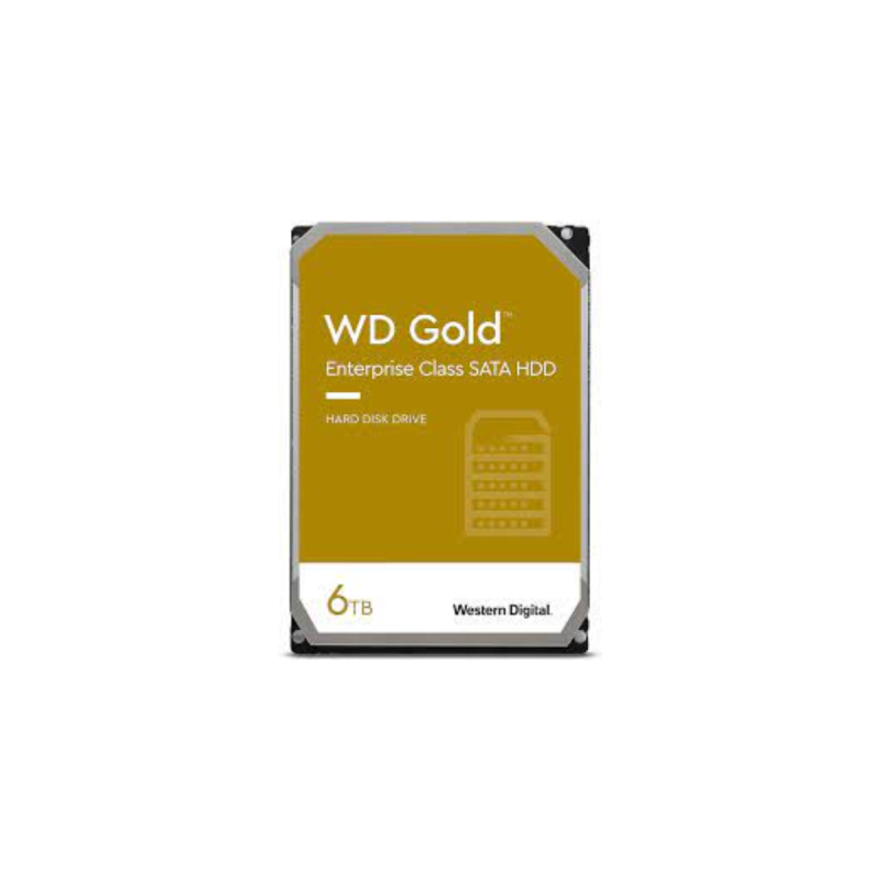 Western Digital WD Gold 6 To (WD6003FRYZ)