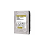 Western Digital WD Gold 6 To (WD6003FRYZ)