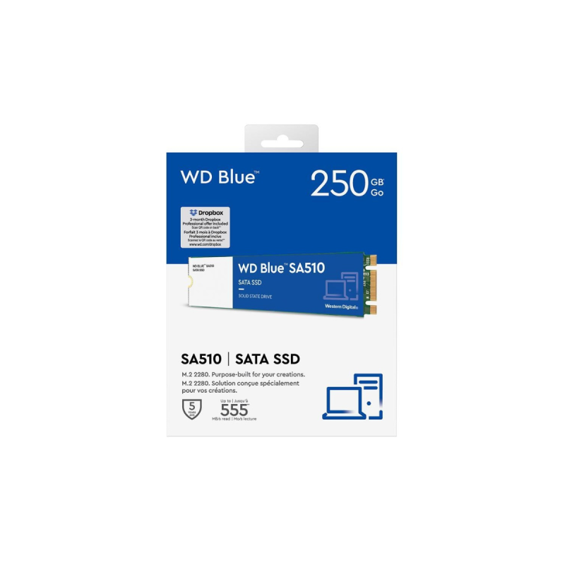 Western Digital SSD WD Blue SA510 250 Go - M.2