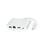 D2 Hub USB-C universel pour Macbook et PC avec USB-C 4 ports : USB