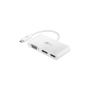 Goobay Adaptateur USB-C™ Multiport VGA, DisplayPort™, HDMI™