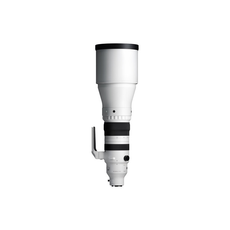 Sigma Objectif SPORTS 300-600mm F4 DG OS pour monture Sony-E