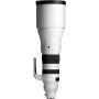 Sigma Objectif SPORTS 300-600mm F4 DG OS pour monture Sony-E
