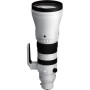 Sigma Objectif SPORTS 300-600mm F4 DG OS pour monture Sony-E
