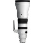Sigma Objectif SPORTS 300-600mm F4 DG OS pour monture Sony-E