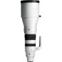 Sigma Objectif SPORTS 300-600mm F4 DG OS pour monture Sony-E