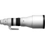 Sigma Objectif SPORTS 300-600mm F4 DG OS pour monture Sony-E