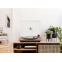 Elipson Chroma 400 Noyer