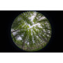 Laowa Objectif 8-15mm F2.8 FF Fisheye - Sony FE