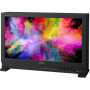 Sony Moniteur référence 31" 4K/HDR TRIMASTER HX LCD  Supp. Pro 5 ans