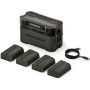 Tilta Kit de Batt. pour Station de Charge DMW-BLK22 (4 Batt.) Vert