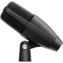 Sennheiser Microphone MD 421 Kompakt