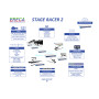 Ereca Stage Racer 2 Frame avec 12 ports SDI