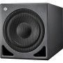 Neumann Subwoofer contrôlé par DSP gestion des basses stéréo