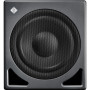 Neumann Subwoofer contrôlé par DSP gestion des basses stéréo