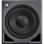 Neumann Subwoofer contrôlé par DSP gestion des basses multicanaux