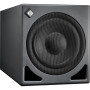 Neumann Subwoofer contrôlé par DSP gestion des basses multicanaux