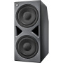Neumann Subwoofer contrôlé par DSP gestion des basses multicanaux