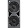 Neumann Subwoofer contrôlé par DSP gestion des basses multicanaux