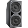 Neumann Subwoofer contrôlé par DSP gestion des basses multicanaux