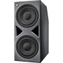 Neumann Subwoofer contrôlé par DSP multicanaux et interface AoIP