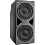 Neumann Subwoofer contrôlé par DSP multicanaux et interface AoIP