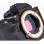KASE Filtre Sony Clip-in Sony A9-A7 R.MCUV