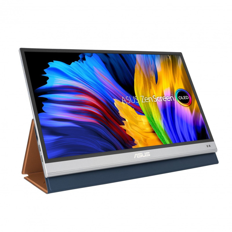 ASUS Ecran ZenScreen OLED MQ13AH