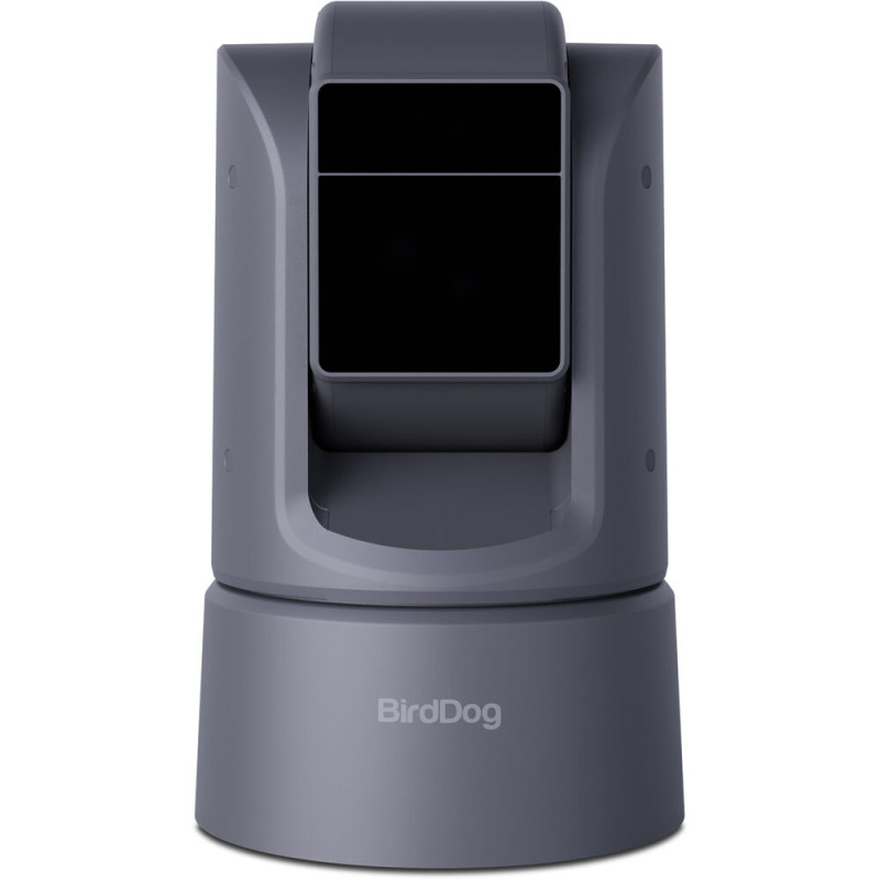 BirdDog Caméra extérieure O4 30x (60x en HD), 4K60 PoE++ Gris