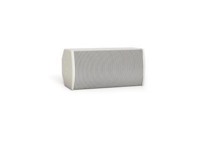 BOSE PRO Enceinte Utility ArenaMatch AMU108-120 EN54  Blanc