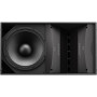 BOSE PRO Enceinte ArenaMatch AM20/60 Noir