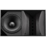 BOSE PRO Enceinte ArenaMatch AM40/80 Noir