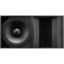 BOSE PRO Enceinte ArenaMatch AM10/100 Noir