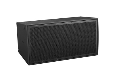 BOSE PRO Enceinte ArenaMatch AM10/100 Noir