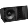 BOSE PRO Enceinte ArenaMatch AM20/100 Noir