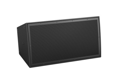 BOSE PRO Enceinte ArenaMatch AM20/100 Noir