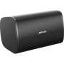 BOSE PRO Enceinte DesignMax DM8S Noir