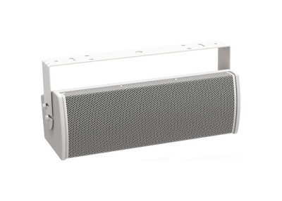 BOSE PRO Enceinte Utility ArenaMatch AMU206 EN54 Blanc