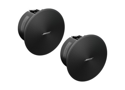 BOSE PRO Enceinte DesignMax DM2C-LP Noir - La Paire