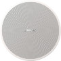 BOSE PRO Enceinte DesignMax DM2C-LP Blanc - La Paire