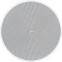 BOSE PRO Enceinte DesignMax DM6C Blanc - La paire