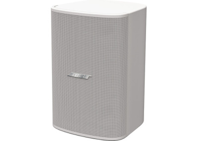 BOSE PRO Enceinte DesignMax DM5SE Blanc - La Paire
