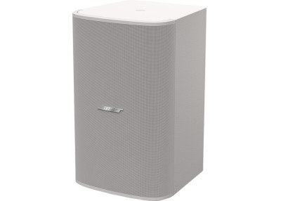 BOSE PRO Enceinte DesignMax DM10S-SUB blanc