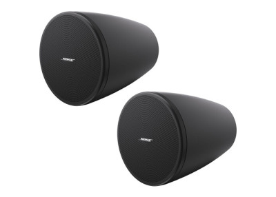 BOSE PRO Enceinte DesignMax DM3P Noir - La Paire