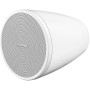 BOSE PRO Enceinte DesignMax DM3P Blanc - La Paire
