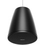 BOSE PRO Enceinte DesignMax DM5P Noir - La Paire