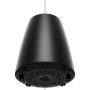 BOSE PRO Enceinte DesignMax DM5P Noir - La Paire