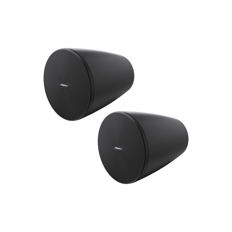 BOSE PRO Enceinte DesignMax DM5P Noir - La Paire