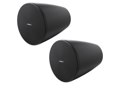 BOSE PRO Enceinte DesignMax DM5P Noir - La Paire