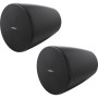 BOSE PRO Enceinte DesignMax DM5P Noir - La Paire